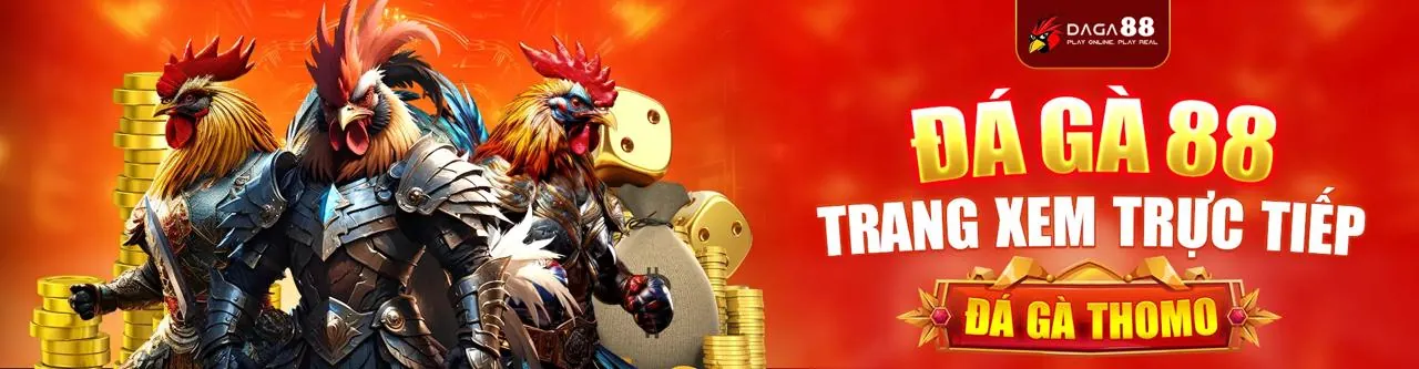 Xem Đá Gà Thomo Trực Tiếp Tại Win2026VN