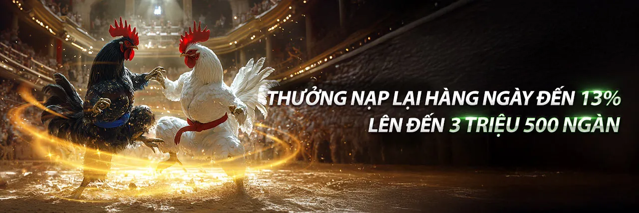 Hình ảnh gà chọi Thomo mạnh mẽ và uy lực, biểu tượng cho các trận đấu đá gà trực tuyến